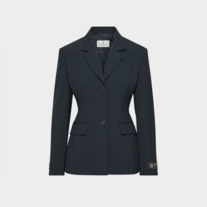 Aritzia Babaton Standout Blazer in Black